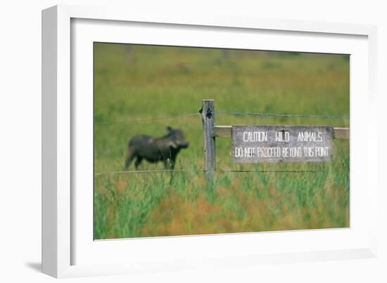 Warthog in Kenya-Buddy Mays-Framed Photographic Print