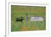 Warthog in Kenya-Buddy Mays-Framed Photographic Print