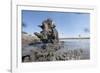 Warthog in Mud Hole, Chobe National Park, Botswana-Paul Souders-Framed Photographic Print