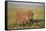Warthog (Phacochoerus Aethiopicus), Ngorongoro Crater, Tanzania, East Africa, Africa-James Hager-Framed Stretched Canvas