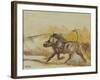 Warthog running, 2014-Francesca Sanders-Framed Giclee Print