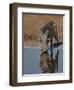 Warthog, Savuti Channal, Botswana-Pete Oxford-Framed Premium Photographic Print