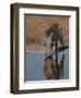 Warthog, Savuti Channal, Botswana-Pete Oxford-Framed Photographic Print