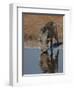 Warthog, Savuti Channal, Botswana-Pete Oxford-Framed Photographic Print