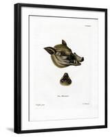 Warthog-null-Framed Premium Giclee Print