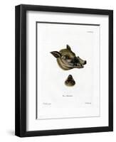 Warthog-null-Framed Premium Giclee Print