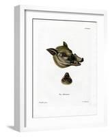 Warthog-null-Framed Giclee Print