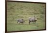 Warthogs-DLILLC-Framed Photographic Print