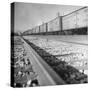 Wartime Railroading: Box Cars of Freight Train Moving Down the Track-Alfred Eisenstaedt-Stretched Canvas