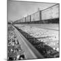 Wartime Railroading: Box Cars of Freight Train Moving Down the Track-Alfred Eisenstaedt-Mounted Photographic Print