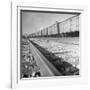 Wartime Railroading: Box Cars of Freight Train Moving Down the Track-Alfred Eisenstaedt-Framed Photographic Print