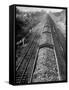 Wartime Railroading: Coal Cars of Freight Train of the Charleston and Western Carolina Line-Alfred Eisenstaedt-Framed Stretched Canvas
