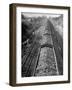 Wartime Railroading: Coal Cars of Freight Train of the Charleston and Western Carolina Line-Alfred Eisenstaedt-Framed Photographic Print