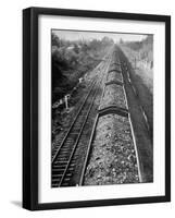 Wartime Railroading: Coal Cars of Freight Train of the Charleston and Western Carolina Line-Alfred Eisenstaedt-Framed Photographic Print