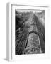 Wartime Railroading: Coal Cars of Freight Train of the Charleston and Western Carolina Line-Alfred Eisenstaedt-Framed Photographic Print