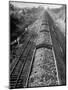 Wartime Railroading: Coal Cars of Freight Train of the Charleston and Western Carolina Line-Alfred Eisenstaedt-Mounted Photographic Print