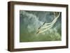 Wartime-Olari Ionut-Framed Photographic Print