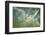 Wartime-Olari Ionut-Framed Photographic Print