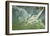 Wartime-Olari Ionut-Framed Photographic Print