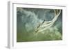 Wartime-Olari Ionut-Framed Photographic Print