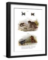 Warty Toad-null-Framed Giclee Print