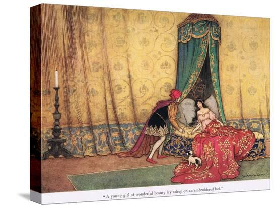 Stretched Canvas Print, , large