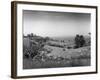 Warwickshire Scenery-null-Framed Photographic Print