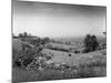 Warwickshire Scenery-null-Mounted Photographic Print