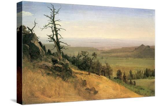 Wasatch Mountain, Nebraska-Albert Bierstadt-Stretched Canvas