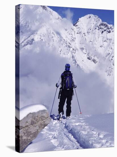 Wasatch Mountains, Utah, USA-null-Stretched Canvas