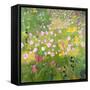 Wasatch Wildflowers-Anne Becker-Framed Stretched Canvas