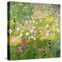 Wasatch Wildflowers-Anne Becker-Stretched Canvas