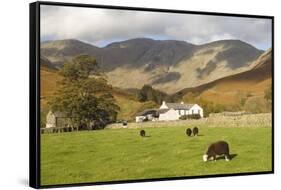 Wasdale Head with Pillar 2927Ft Behind, Wasdale Valley, Lake District National Park, England-James Emmerson-Framed Stretched Canvas