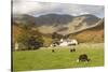 Wasdale Head with Pillar 2927Ft Behind, Wasdale Valley, Lake District National Park, England-James Emmerson-Stretched Canvas