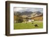 Wasdale Head with Pillar 2927Ft Behind, Wasdale Valley, Lake District National Park, England-James Emmerson-Framed Photographic Print