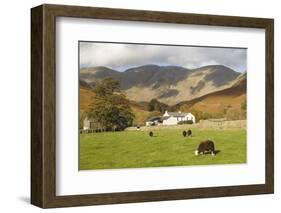 Wasdale Head with Pillar 2927Ft Behind, Wasdale Valley, Lake District National Park, England-James Emmerson-Framed Photographic Print