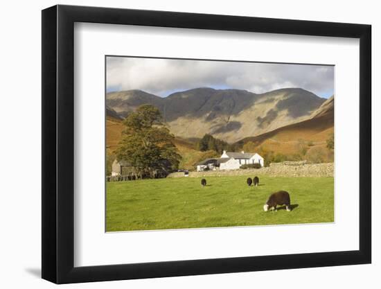 Wasdale Head with Pillar 2927Ft Behind, Wasdale Valley, Lake District National Park, England-James Emmerson-Framed Photographic Print