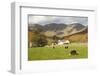 Wasdale Head with Pillar 2927Ft Behind, Wasdale Valley, Lake District National Park, England-James Emmerson-Framed Photographic Print