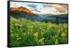 Wash Gulch Wild-J.C. Leacock-Framed Stretched Canvas