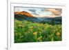 Wash Gulch Wild-J.C. Leacock-Framed Photographic Print