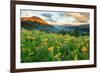 Wash Gulch Wild-J.C. Leacock-Framed Photographic Print