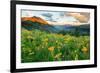 Wash Gulch Wild-J.C. Leacock-Framed Photographic Print