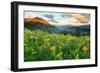 Wash Gulch Wild-J.C. Leacock-Framed Photographic Print