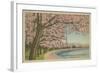 Wash. Monument & Cherry Blossoms-null-Framed Art Print