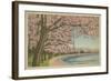 Wash. Monument & Cherry Blossoms-null-Framed Art Print