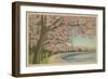 Wash. Monument & Cherry Blossoms-null-Framed Premium Giclee Print