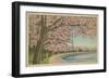 Wash. Monument & Cherry Blossoms-null-Framed Premium Giclee Print