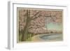 Wash. Monument & Cherry Blossoms-null-Framed Premium Giclee Print