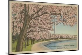 Wash. Monument & Cherry Blossoms-null-Mounted Premium Giclee Print