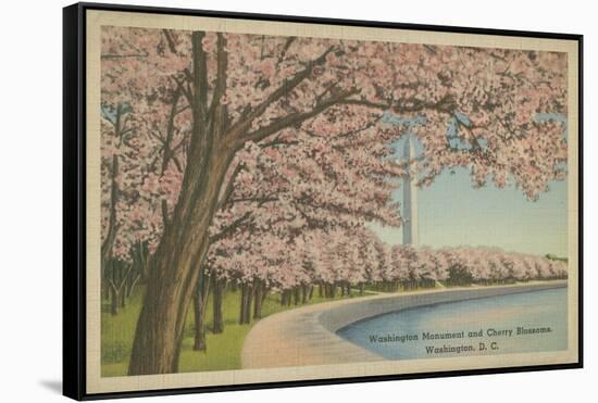 Wash. Monument & Cherry Blossoms-null-Framed Stretched Canvas